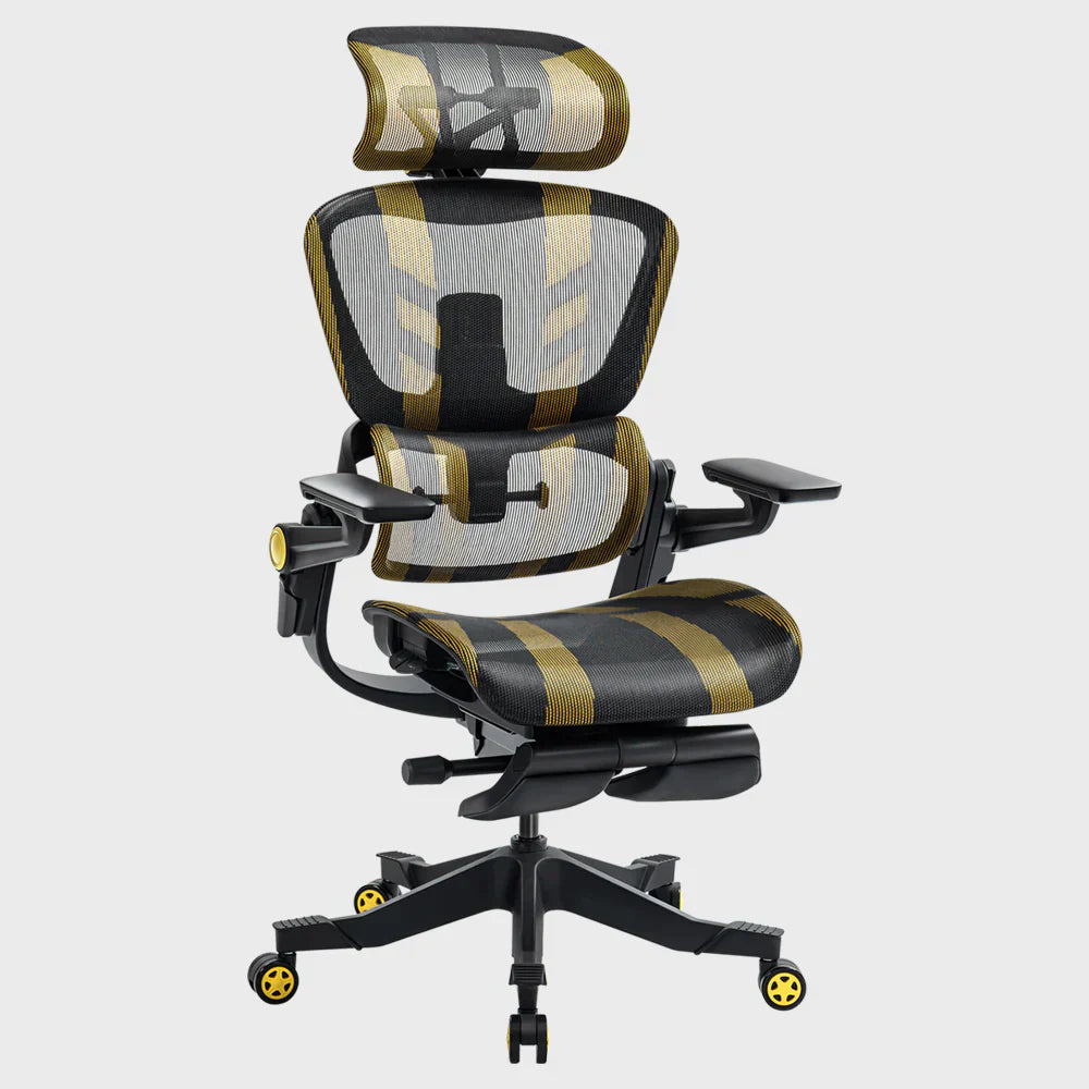 Ergonomic Office Chair