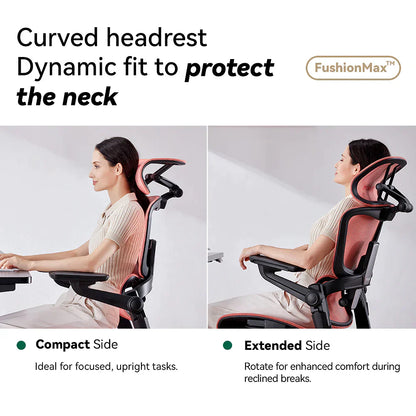 Ergonomic Office Chair