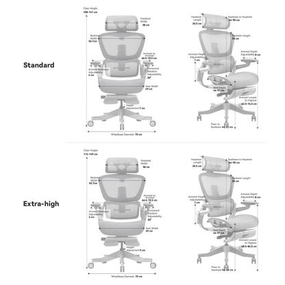 Ergonomic Office Chair